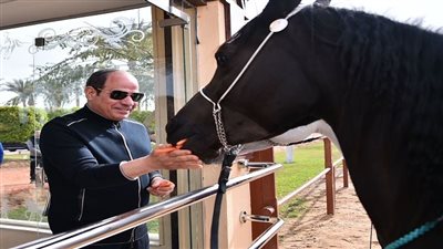 الرئيس السيسي يطعم خيول الشرطة جزر