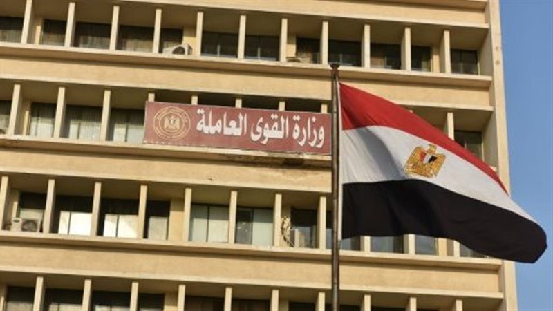 وزارة القوى العاملة،