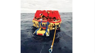 نجاة طاقم إبحار من الموت بعدما أغرق حوت عملاق مركبهم