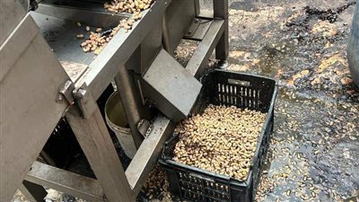 ضبط 2 طن مخللات غير صالحة للاستهلاك الآدمي بالقليوبية