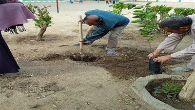 لمواجهة تحديات المناخ.. الشرقية تواصل زراعة 270 ألف شجرة مثمرة