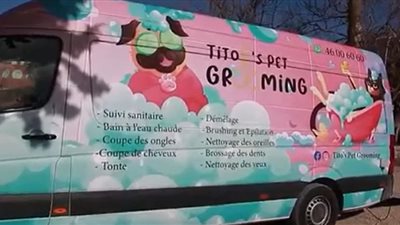 تونسي يفتتح صالونًا لتجميل الكلاب 