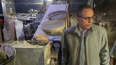 التحفظ على 4 أطنان دقيق وتحرير محاضر بالجملة في المخابز والأسواق في الدقهلية (صور) 