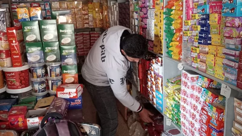 حملات صحية في الدقهلية،