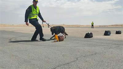 مطار الأقصر ينجح فى تنفيذ تجربة طوارئ جزئية النطاق