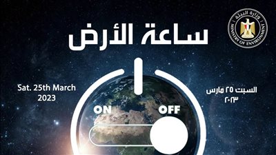 مصر تشارك في المبادرة العالمية 
