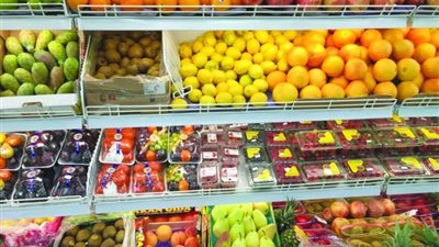 استقرار أسعار الفاكهة بالأسواق والتفاح يسجل 51 جنيهًا 