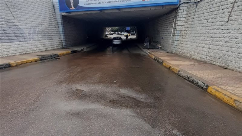 أمطار الاسكندريه،فيتو