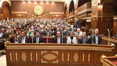 نواب بالشيوخ يطالبون بإعطاء قصار القامة رخص قيادة السيارات