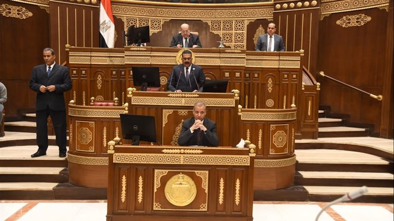 مناقشة مشكلات ذوي