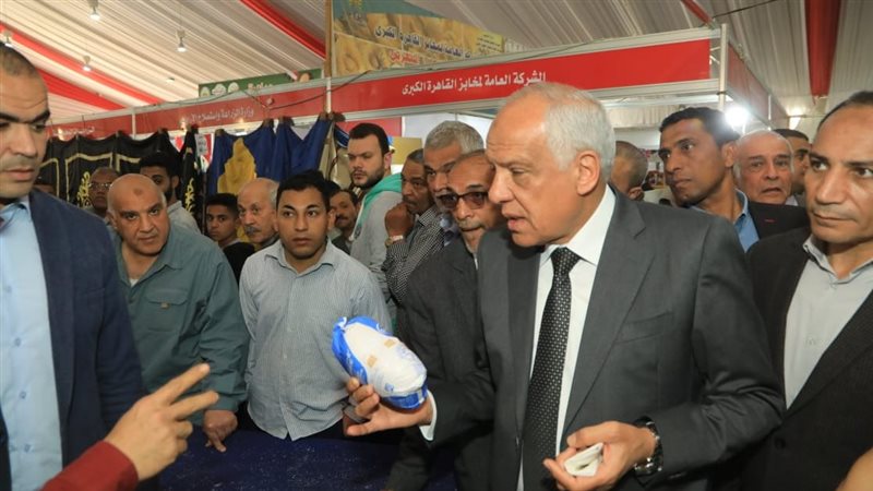 محافظ الجيزة يتفقد