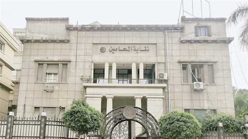 نقابة المحامين، فيتو