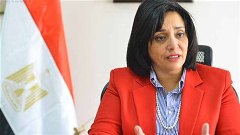غادة شلبي نائب وزير