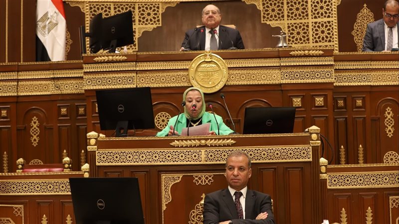النائبة تعرض طلب