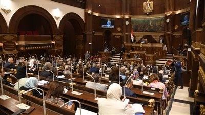 التضامن تكشف عدد المعاقين في مصر وضوابط استخراج بطاقة الخدمات المتكاملة