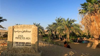 مئات الطيور النادرة والمهددة بالإنقراض.. 3 محميات طبيعية تخطف الأنظار في مطروح  