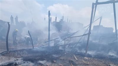 حريق يلتهم مزرعة مواشي بالمنشاة الكبرى في الغربية (صور)