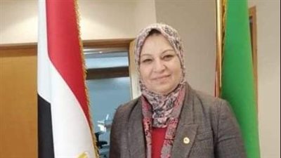 المصرية لنقل الكهرباء تعدل البند الخاص بعملية فتح خط سيدي كرير / النوبارية