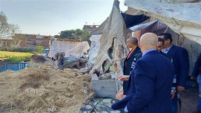 كواليس إعدام 10 أطنان أغذية فاسدة وغلق 3 منشآت بالشرقية (صور)