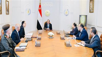 السيسي يؤكد أهمية تنمية المناطق المجاورة للموانئ في الأنشطة اللوجستية والصناعية والخدمية