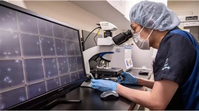 رجولة ذكور العالم في خطر، والأسباب مجهولة