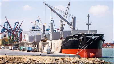 تداول 31 سفينة بضائع بميناء دمياط 