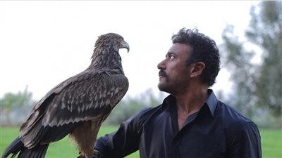 تريندات مسلسلات رمضان 2023.. من “حواجب