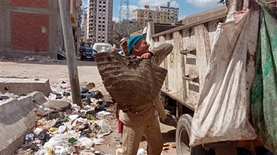 حملات نظافة وخطة لرصف شوارع غرب المنصورة 