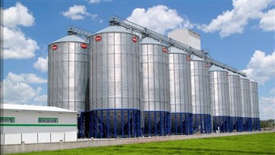  نائب: زيادة سعر القمح يقضي على السوق السوداء ويمنع تكرار أزمة الأرز