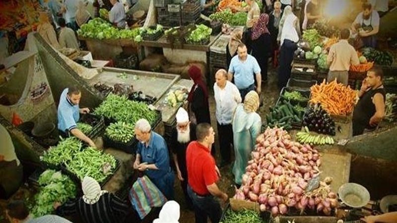 ارتفاع أسعار الشبت