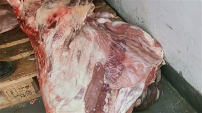 ضبط 6 جزارين بسبب الذبح خارج المجازر وبيع لحوم فاسدة بالبحيرة 
