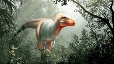  دراسة حديثة تنسف المتداول عن الديناصورات وتكشف حقيقة أشكالهم