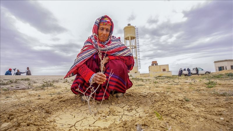 الجفاف في تونس، فيتو
