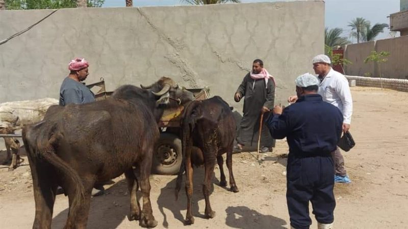 فرق التحصين والتوعية
