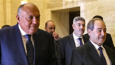 وزير الخارجية السوري يصل القاهرة 