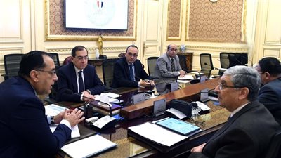 رئيس الوزراء يتابع تنفيذ مشروعات الطاقة المتجددة