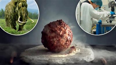 صناعة كرة لحم عملاقة من بروتين حيوان انقرض من 5000 عام ( فيديو)