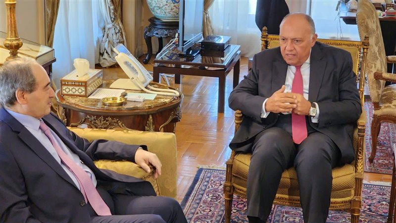 وزيري الخارجية المصري
