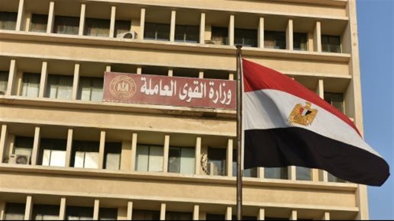 وزارة القوي العاملة،