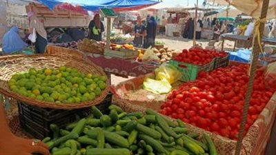 الفلفل بـ 25 جنيها، أسعار الخضروات في الأسواق اليوم