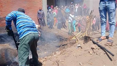 نفوق ماشيتين في حريق حظيرة بالغربية (صور)