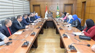 محافظ الدقهلية يناقش توصيل الغاز الطبيعي لدكرنس 