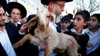 ذبح القرابين في المسجد الأقصى، وفلسطين تحذر دولة الاحتلال من التداعيات