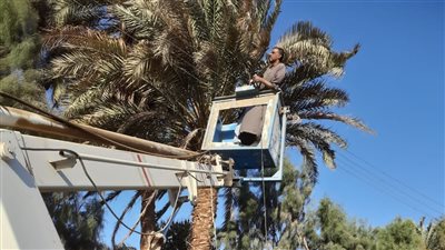 انتهاء أعمال ترميم الأرصفة وتطوير كورنيش النيل بمدينة إسنا بالأقصر