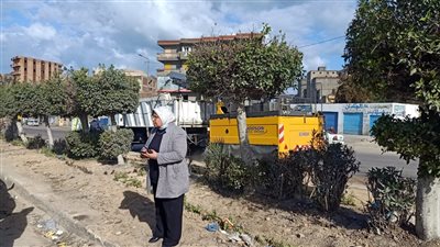 أعمال رصف وتشجير ونظافة بشوارع ومقابر حي العجمي(صور) 