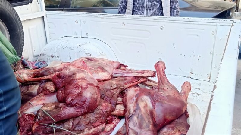 دواب نافقة 