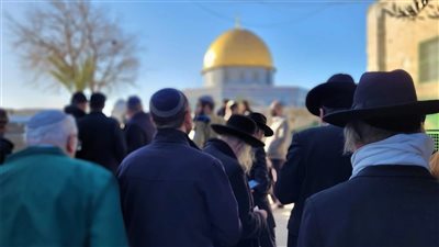 ليلة استفزاز المسلمين بذبح القرابين واستغاثة بالملوك والحكام العرب: وا أقصاه