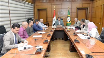 محافظ الدقهلية يوجه بسرعة الانتهاء من شبكات الغاز وخطوط المياه ورصف الطرق 