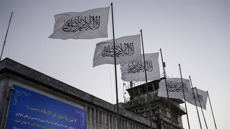 طالبان تعلن مقتل