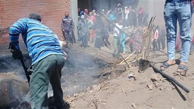 الحماية المدنية في المنيا تسيطر على حريقين